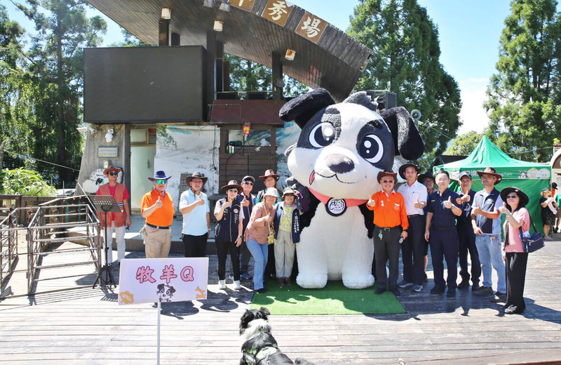 清境農場辦理牧羊犬大型氣球票選命名,2日揭曉由「牧羊Q」勝出並首次亮相,結合羊羊氣球佇立草原,吸引遊客合影留念、成為打卡新亮點。(清境農場提供)中央社記者蕭博陽南投縣傳真 114年7月2日