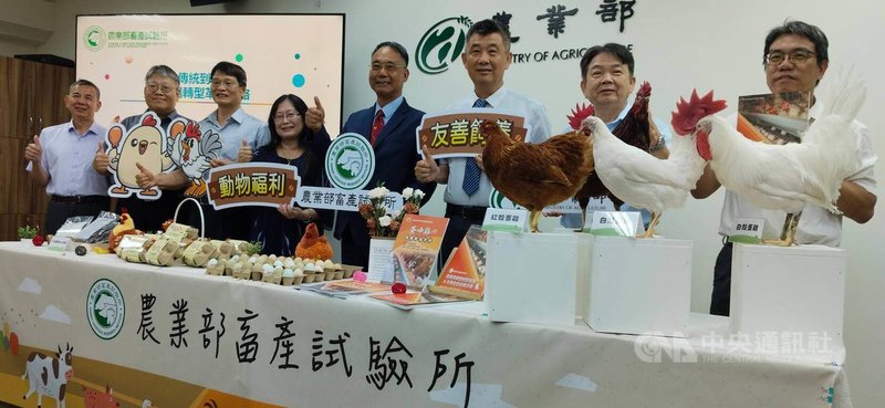農業部畜產試驗所3日舉行記者會,介紹蛋雞場轉型革新之路。畜試所組成跨領域專家輔導團,協助傳統籠飼蛋雞場變更高級衛生,並導入新式設備,多了跑跳空間,產蛋率從75.8%提升至89.4%。中央社記者汪淑芬攝 114年7月3日