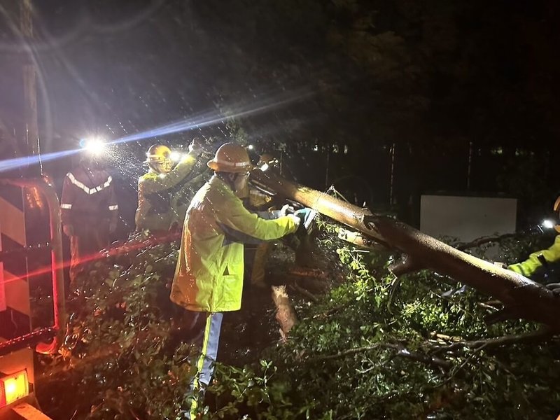 颱風丹娜絲造成高雄岡山區架空電纜斷線,台電人員出動搶修。(台電提供)中央社記者曾智怡傳真 114年7月6日