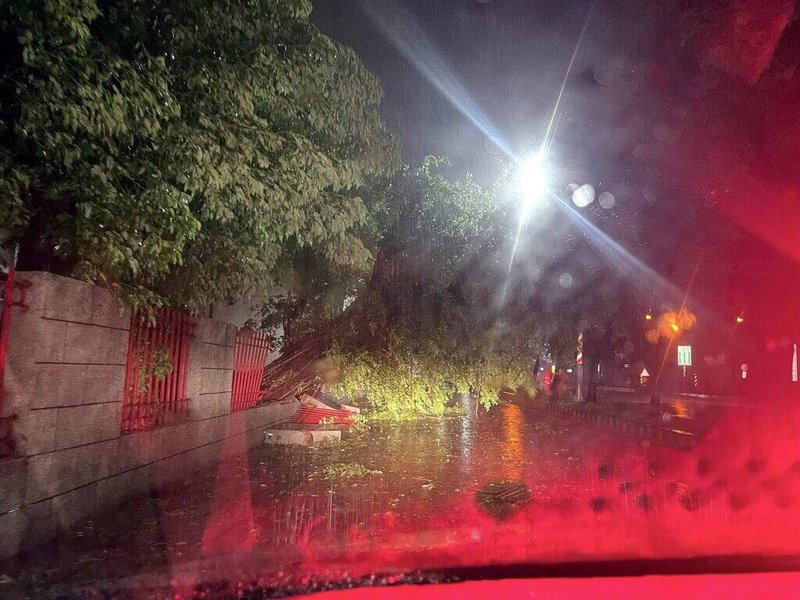 颱風丹娜絲襲台於6日深夜在嘉義縣布袋登陸,嘉義市區吹起強風並持續1個多小時,學校圍牆、樹木都被吹倒。(鄭榮貴提供)中央社記者黃國芳傳真 114年7月7日