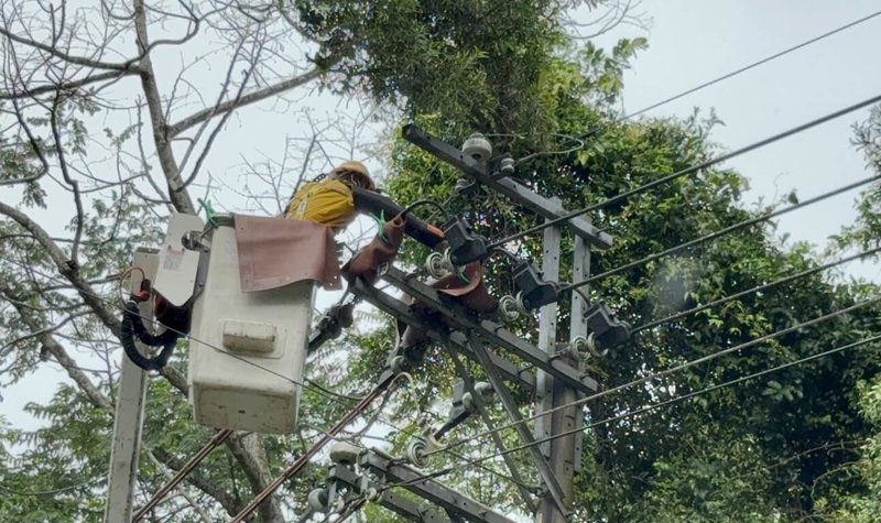 颱風丹娜絲肆虐，在苗栗縣沿海鄉鎮造成部分家戶跳電、停電，台電公司苗栗區營業處表示，颱風期間曾停電戶數2萬餘戶，經搶修後，7日下午已陸續全數恢復供電。（台電苗栗區營業處提供）中央社記者管瑞平傳真  114年7月7日