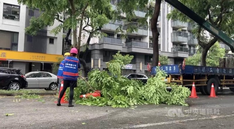 颱風丹娜絲來襲，高雄7日上午天氣時晴時雨，市區多處有樹倒災情，市府委外業者一早就派工程車前往清理、移除。中央社記者張已亷攝  114年7月7日