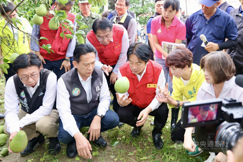 颱風丹娜絲造成雲嘉南地區多處災情,總統賴清德(前右3)8日親自南下勘災,到台南市麻豆區了解文旦果園落果情形,中央社記者楊思瑞攝 114年7月8日