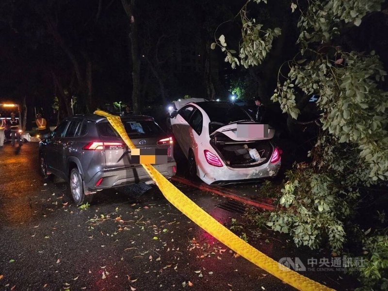 台北市信義區9日凌晨發生死亡車禍，多元計程車司機張男疑在路邊停車下車抽菸，突遭一輛賓士車撞上，警消到場發現張男倒臥草叢，經急救仍傷重不治。（翻攝照片）中央社記者黃麗芸傳真  114年7月9日