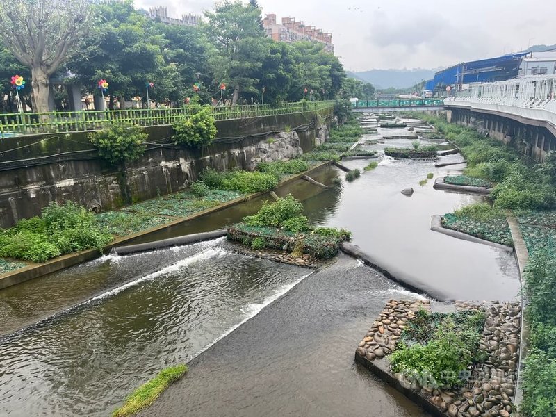 新北市泰山區大窠坑溪第2期工程今年5月正式完工,在不影響河防安全前提下,營造河中島陸域棲地,形成生態跳島,有助動物遷徙與棲息,兼顧環境、防洪與民眾使用需求。中央社記者趙敏雅攝 114年7月11日