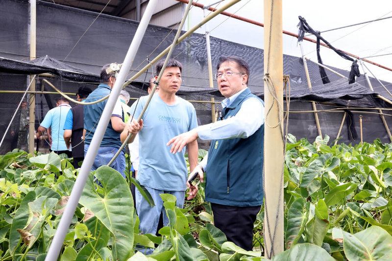 颱風丹娜絲造成台南多處災情,市長黃偉哲(右)13日前往下營區關心火鶴花產業受損情形。(台南市政府提供)中央社記者楊思瑞台南傳真 114年7月13日