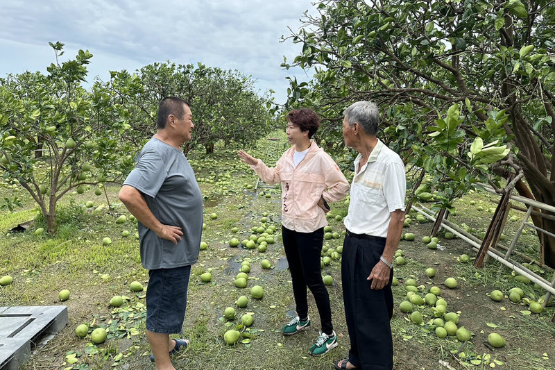颱風丹娜絲侵襲造成台南農漁損失嚴重，民進黨立委陳亭妃（右2）13日表示，過去曾有數次颱風農損未及此次規模，政府仍提供農業災害貸款首年免息等機制，這次災情更嚴重，政府應迅速採取相同甚至更積極作為。（陳亭妃服務處提供）中央社記者楊思瑞台南傳真  114年7月13日