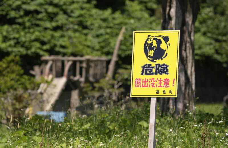 北海道福島町14日豎立一塊「熊出沒注意」的看板。(共同社)