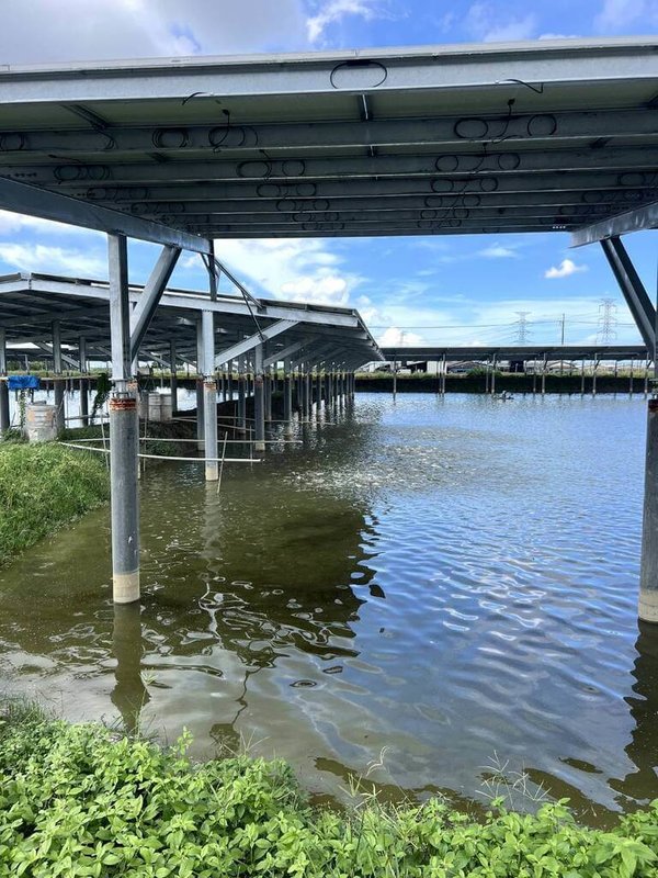 高雄市阿蓮區崙仔頂段的漁電共生案場,屬於屋外型案場,太陽能光電設施蓋在魚塭堤岸旁,不影響養殖。(高雄市大阿蓮養殖漁業發展協會提供)中央社記者蔡孟妤傳真 114年7月14日