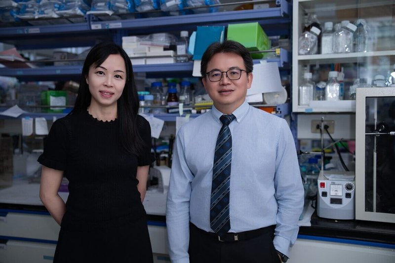 陽明交通大學和台北榮民總醫院最新研究發現,腸道荷爾蒙GLP-1會抑制肌肉的再生與修復,成為肌少症的隱形推手。左起為研究主持人、陽明交大生化暨分子生物研究所教授郭津岑、北榮急診部主任黃獻皞。(陽明交大提供)中央社記者陳至中台北傳真 114年7月16日