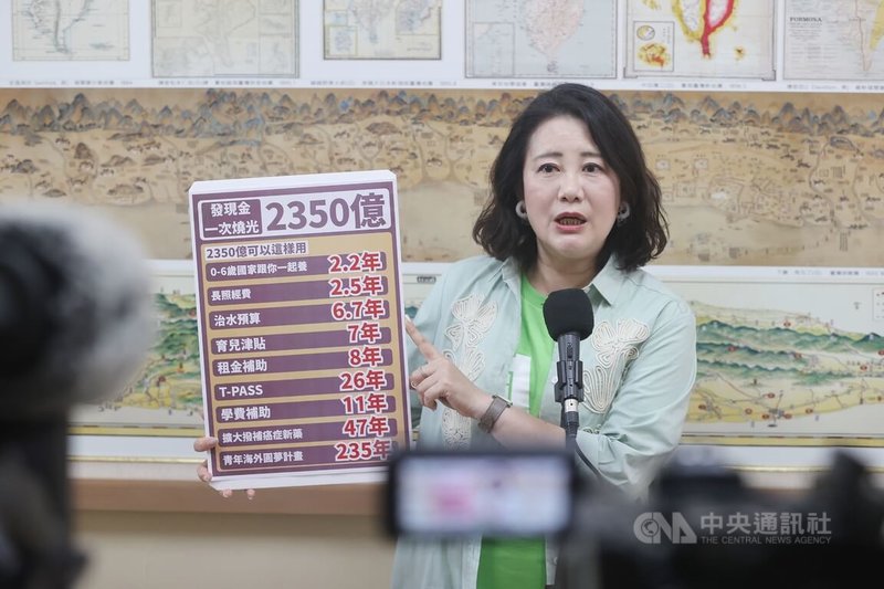 民進黨立法院黨團幹事長吳思瑤。(中央社檔案照片)