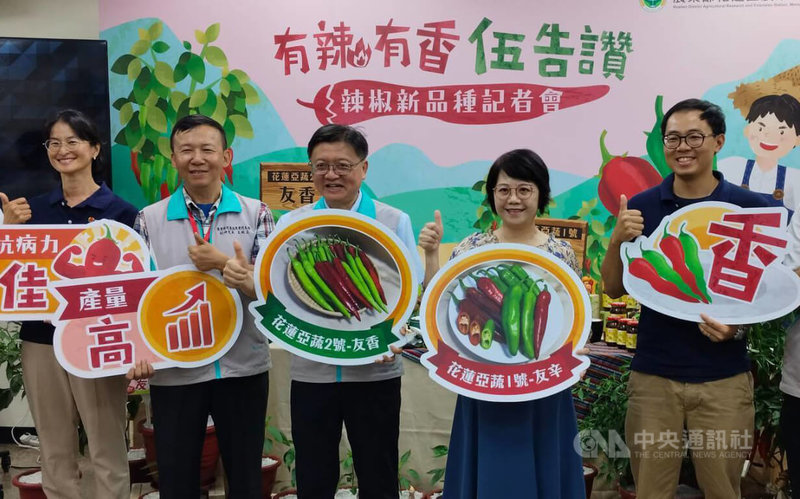 農業部花蓮區農業改良場17日在農業部舉辦「辣椒新品種發表記者會」,發表2款針對夏季剝皮辣椒辣度過高問題所育成的中辣與微辣新品種。中央社記者汪淑芬攝 114年7月17日