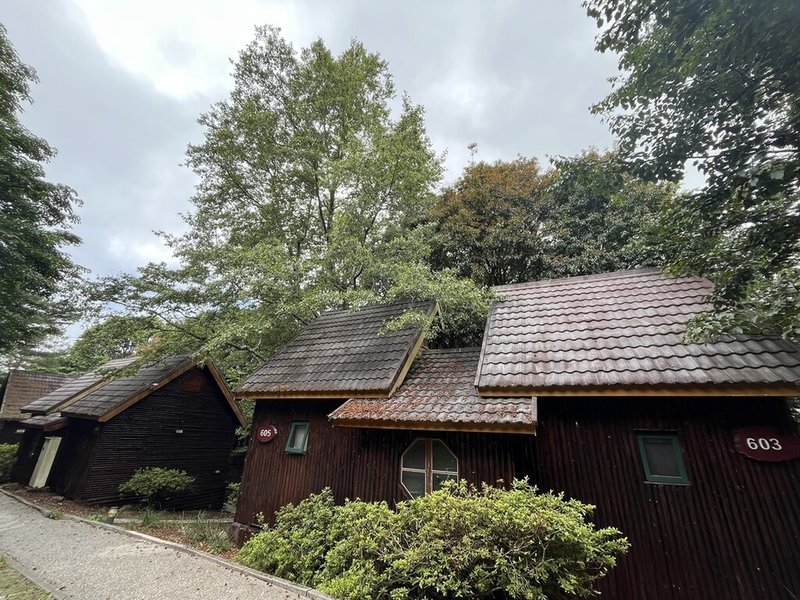 農業部林業及自然保育署台中分署21日公布,大雪山國家森林遊樂區20間小木屋完成整修,重新提供住宿服務,住房內設備也同步升級。(台中分署提供)中央社記者郝雪卿傳真 114年7月21日