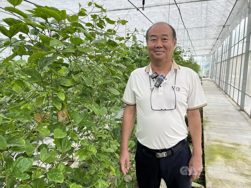 台商、上海市台協永續農業工委會主委劉達緯於崇明島開拓一處生態園，基地面積達16.6公頃，目前使用面積為2.6公頃，致力於推廣農業教育、農事體驗、生態觀察。中央社記者李雅雯上海攝  114年7月24日
