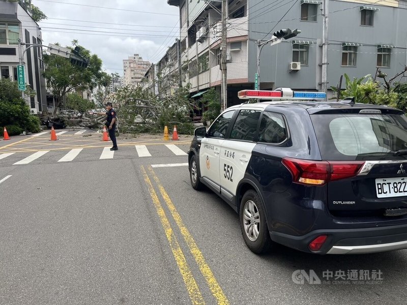 台中市北屯區崇德三路與熱河路3段路口,25日發生2層樓高路樹倒塌影響通行事件,警方獲報立即到場擺設交通錐警示,並在場協助交通疏導。(翻攝照片)中央社記者蘇木春傳真 114年7月25日