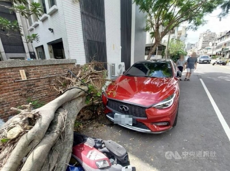 台中市北屯區一處路口25日下午有一棵2層樓高路樹突然倒塌,造成停放路旁的自小客車、機車共3車受損,所幸未傳人員傷亡。(翻攝照片)中央社記者蘇木春傳真 114年7月25日