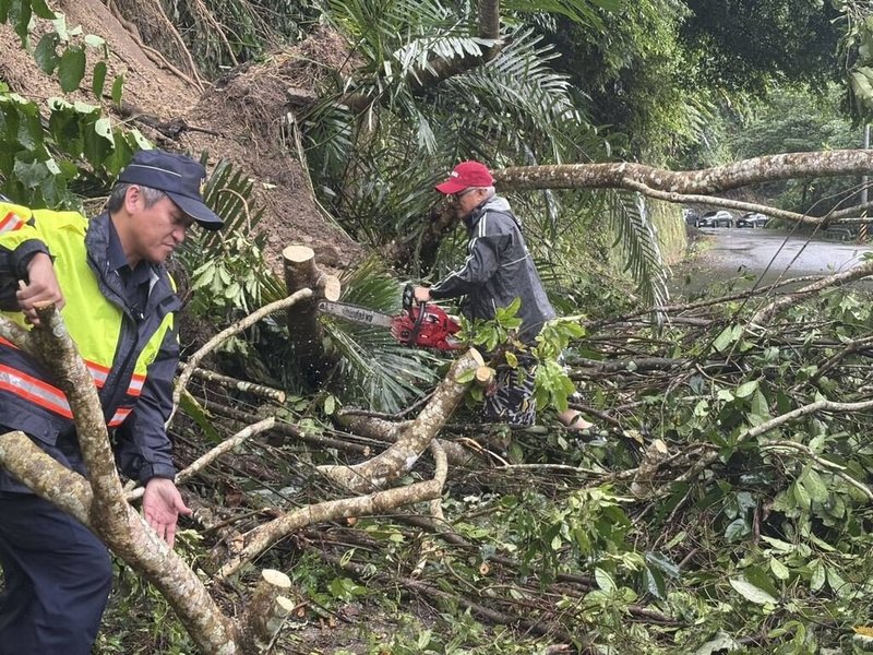 苗栗縣泰安鄉通往後山部落的大安聯絡道因連日大雨導致邊坡土石滑落,當地村長號召居民及大安派出所員警趕往現場用電鋸把大樹切割移除,再清除部分土石,勉強清除出單線車道供雙向車輛通行。(楊惠福提供)中央社記者管瑞平傳真 114年7月30日