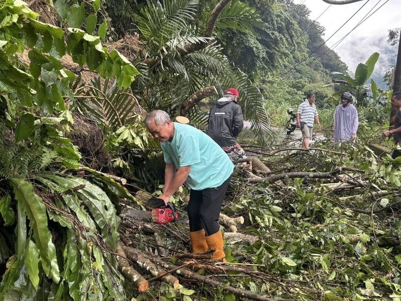 苗栗縣泰安鄉通往後山部落的大安聯絡道受連日大雨影響,無法通行,大量土石挾帶大樹滑落,宛如走山一般,居民及大安派出所員警等用電鋸把大樹切割移除,再清除部分土石。(楊惠福提供)中央社記者管瑞平傳真 114年7月30日