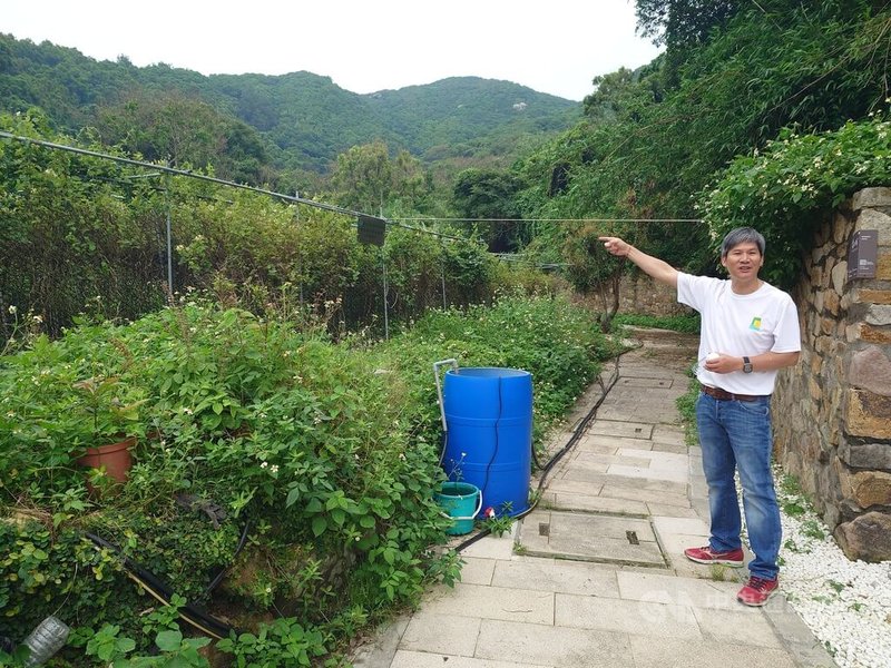 連江縣南竿鄉珠螺社區發展協會利用閒置農地開設「珠螺農園」種植金銀花,協會理事長吳健忠(圖)表示,金銀花為馬祖原生植物,透過系統化地種植,可以實現全年開花。中央社記者潘欣彤攝 114年7月30日