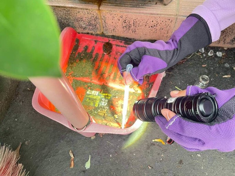 台南市衛生局31日指出，新增2例登革熱境外移入病例，2人是越南籍新住民母女，7月前往越南探親時感染，登革熱防治中心隨即動員進行緊急噴霧罐防治、環境孳生源清除及病蚊媒密度調查，並規畫化學防治作業。（台南市政府提供）中央社記者張榮祥台南傳真  114年7月31日