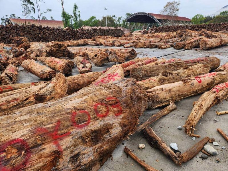 農業部林業及自然保育署放寬撿拾漂流木規定，只要經屬地機關認定「不具標售價值」的漂流木，民眾可自由撿拾；具標售價值的漂流木，一般會風災後巡視並在漂流木上以噴漆等方式做記號。（林保署提供）中央社記者汪淑芬傳真　114年7月31日