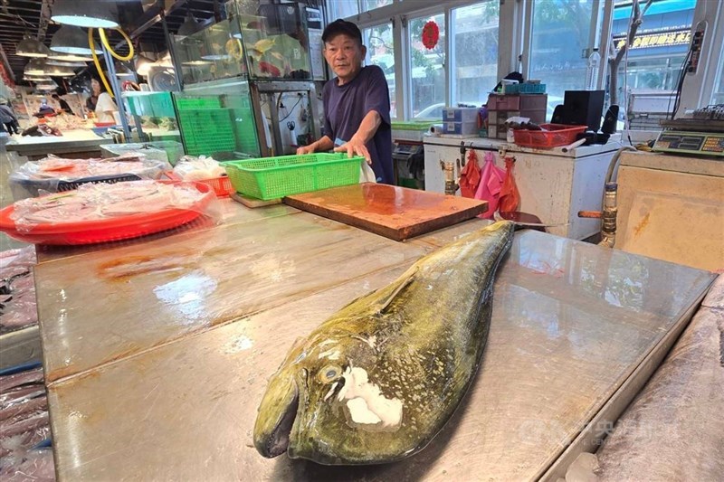 圖為宜蘭南方澳魚市場販售鬼頭刀。（中央社檔案照片）