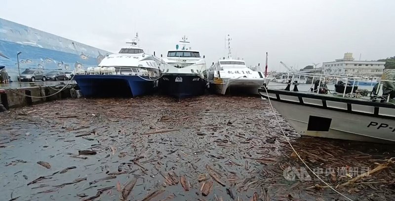 連續下雨台東海面出現漂流木，這2日又碰上西南風，將漂流木帶進台東富岡港，影響船隻進出。中央社記者盧太城台東攝　114年8月1日