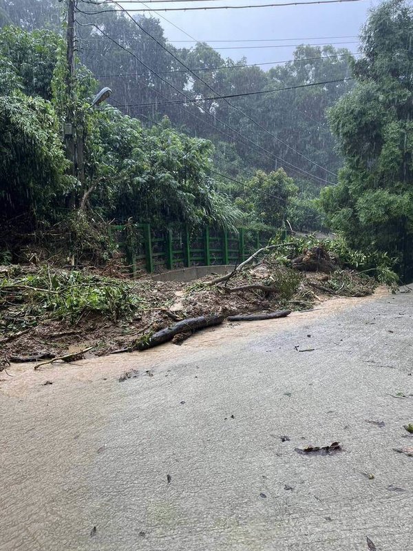 連日降雨導致山坡含水過飽,台中市潭子區龍興巷發生邊坡土石滑落事故,大量泥沙與倒伏樹木堵塞道路。(警方提供)中央社記者趙麗妍傳真 114年8月1日