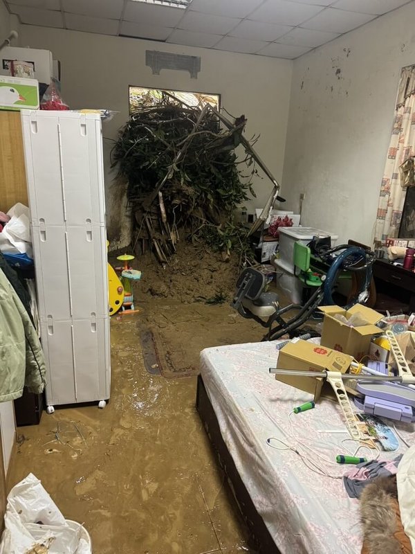 連日豪雨,台中大坑地區多處傳出災情,有民宅窗戶被土石流沖破,還有一棵芒果樹被沖進房間裡,面對屋內泥濘,目前只能先寄住親友家。(台中市議員謝家宜提供)中央社記者趙麗妍傳真 114年8月3日