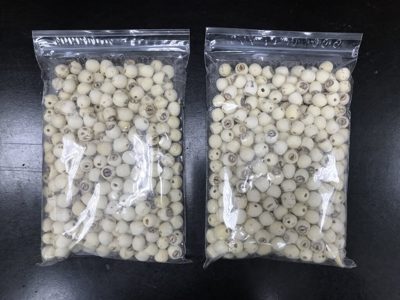 食藥署公布114年4至6月食品真菌毒素監測檢驗結果，抽驗1家來自台東流動攤販，發現1件從中國進口的蓮子黃麴毒素含量超標。（食藥署提供） 中央社記者陳婕翎傳真  114年8月4日
