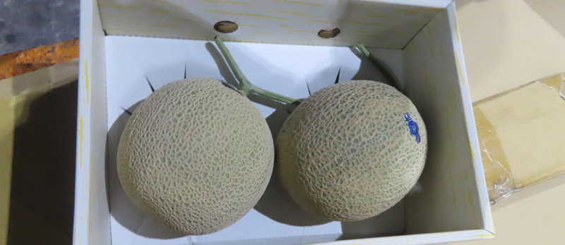 衛福部食藥署5日公布最新邊境查驗不合格名單，共有15項不合格產品，包含3批從日本進口的鮮蜜瓜被檢出殘留農藥違規，全數在邊境退運或銷毀。（食藥署提供）中央社記者陳婕翎傳真  114年8月5日