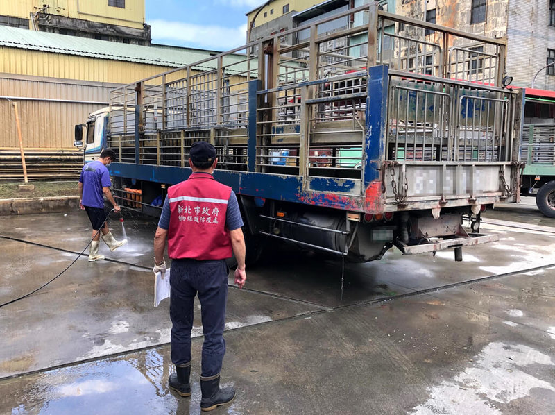 新北市政府動物保護防疫處近期嚴格查核運豬車輛,至今已查獲3輛運豬車未依規定裝設全球衛星定位系統(GPS)以及運輸人員證書過期等情事,依違反動物運送管理辦法與動物保護法,每台車合併裁罰新台幣6000元罰鍰。圖為動保處人員稽查情形。(新北市動保處提供)中央社記者黃旭昇新北市傳真 114年8月9日