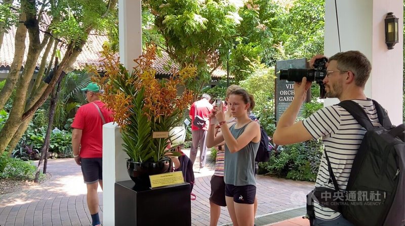 外國遊客在新加坡植物園國家蘭花園,拍攝以國際政要命名的蘭花,新加坡「蘭花外交」自1956年起推行,至今已有逾百名外國政要與名人獲命名。中央社實習記者吳秉勵新加坡攝 114年8月9日