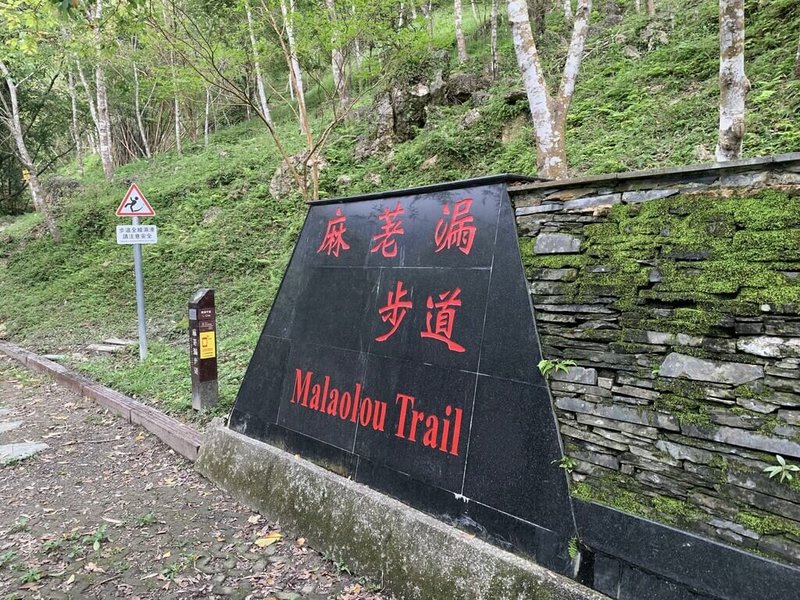 颱風楊柳逐步逼近,農業部林業及自然保育署台東分署所轄的麻荖漏步道等,將於12日下午5時起預警性封閉,提醒民眾非必要勿前往山區活動。(林業保育署台東分署提供)中央社記者李先鳳傳真 114年8月11日