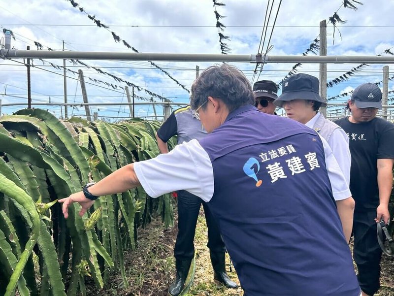 颱風楊柳直撲台東,導致農作物損失慘重。國民黨籍立委黃建賓(前)14日前往勘查,並向農業部爭取公告台東縣為全品項天然災害現金救助及低利貸款地區,且得免現勘,儘速協助農友度難關。(黃建賓服務處提供)中央社記者盧太城台東傳真 114年8月14日