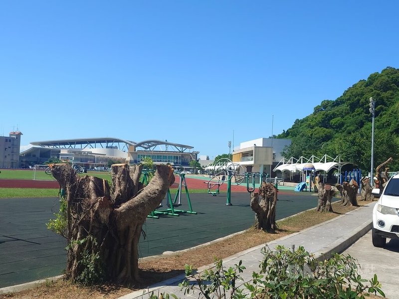 民眾指出，連江縣南竿鄉福澳體育場周邊有部分榕樹遭砍至僅剩離地約50至60公分主幹，質疑為何要砍樹。教育處14日對此表示，並非砍除，而是在移植前先進行修剪與斷根作業，未來將把榕樹移往適合地點。中央社記者潘欣彤攝  114年8月14日