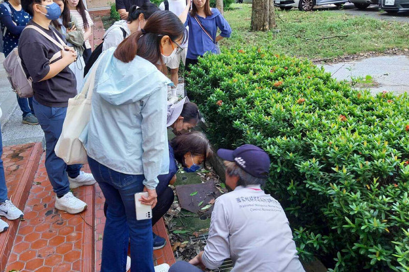 台南在前一段時間雨後可能出現許多隱藏性積水環境，台南市教育局與國家衛生研究院國家蚊媒傳染病防治研究中心合作，連續兩天進入校園舉辦病媒蚊研習及實地孳清演練，盼強化學校第一線防治登革熱能力，並深入社區及各家戶。（台南市教育局提供）中央社記者楊思瑞台南傳真  114年8月15日