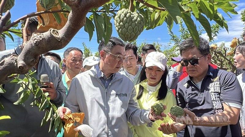 行政院長卓榮泰 (前右3)16日到台東關心釋迦等農作災損,他指示農損從寬認定,免勘項目有必要還可以再調整,要讓農民感到不孤單。民進黨籍立委陳瑩 (前右2)、莊瑞雄 (右1)希望能從寬、從速、從簡幫農民。中央社記者盧太城台東攝 114年8月16日