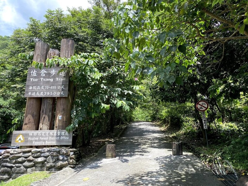 位於花蓮市西側的佐倉步道因地震受損,經林保署花蓮分署進行整修後,將於8月21日上午8時重新開放,讓山友重返山林,欣賞奇萊平原與太平洋的壯麗景致。中央社記者李先鳳攝 114年8月18日