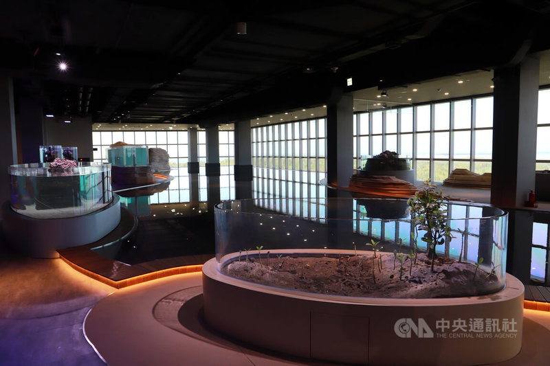 台中海洋館將在21日起試營運,其中濕地展示區在室內就能赤腳踏入模擬水池,體驗潮汐起伏,透過人造濕地與窗外海景,欣賞相互輝映景色。中央社記者蘇木春攝 114年8月18日