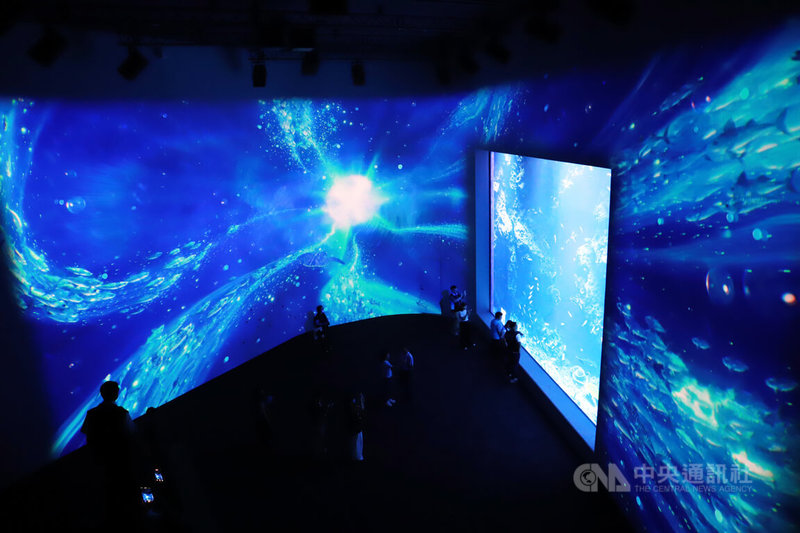 台中海洋館即將試營運，設有8大展示主題與6大亮點，其中黑潮之海主題設置劇場式沉浸投影以及大洋缸，重現黑潮洋流壯麗節奏。中央社記者蘇木春攝　114年8月18日