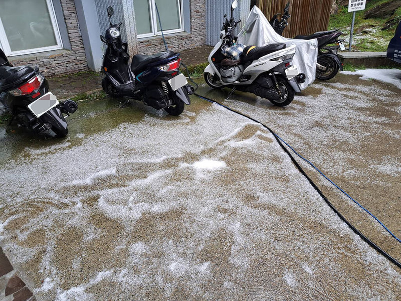 合歡山20日下午降雨且夾帶下冰雹，冰雹持續時間約5分鐘，不少遊客看見無數冰粒從天而降都相當驚喜，地面一度鋪滿雪白冰粒。（林業及自然保育署南投分署提供）中央社記者鄭維真傳真  114年8月20日
