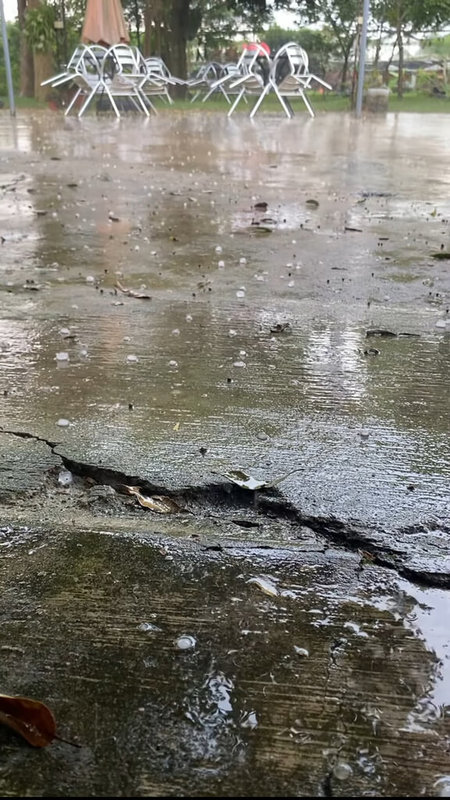 台中石岡仙塘坪20日中午下起冰雹,滿地都是一顆顆的冰粒,下了約10分鐘之久。(初心旅行農莊民宿提供)中央社記者趙麗妍傳真 114年8月20日