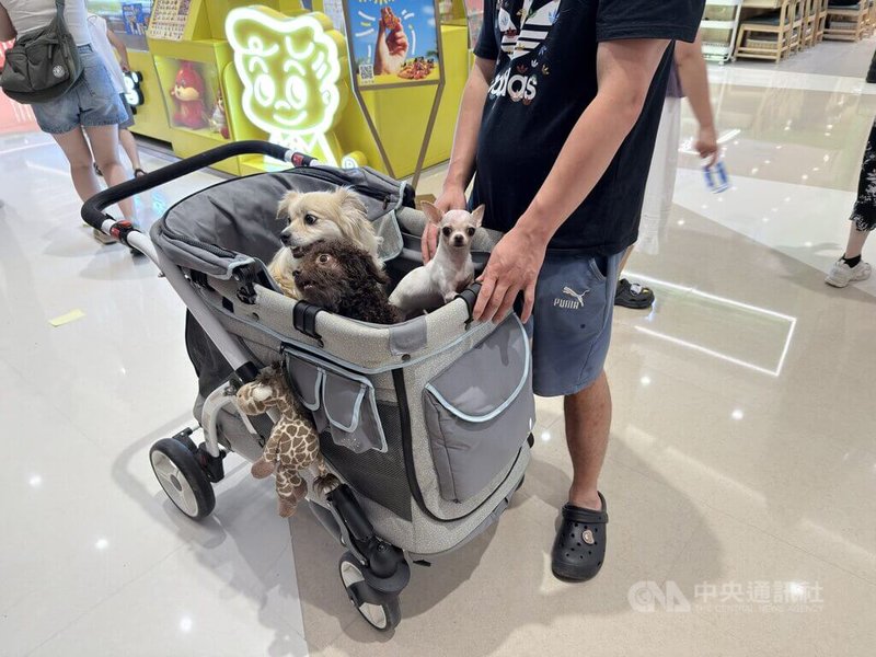 中國寵物經濟近年快速成長,上海街頭遛狗民眾隨處可見,還有越來越多飼主會特別準備寵物推車。圖攝於114年8月3日。中央社記者廖文綺上海攝 114年8月21日