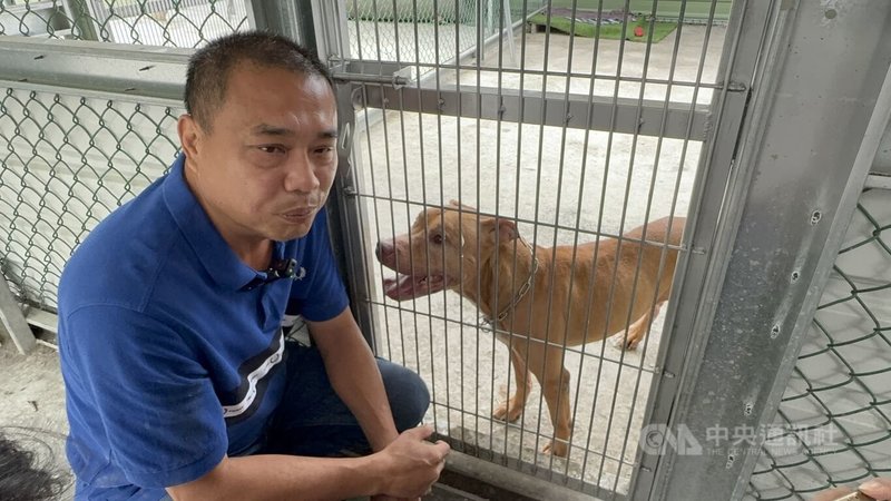 兩度跳出車窗咬傷人的比特犬Lucky,27日在台北市動物保護處護送下移居到雲林縣莿桐鄉生活,新飼主蔡姓男子(圖)28日說,不忍牠被安樂死,因此花40萬元蓋新居,盼Lucky獲新生活。 中央社記者姜宜菁攝 114年8月28日