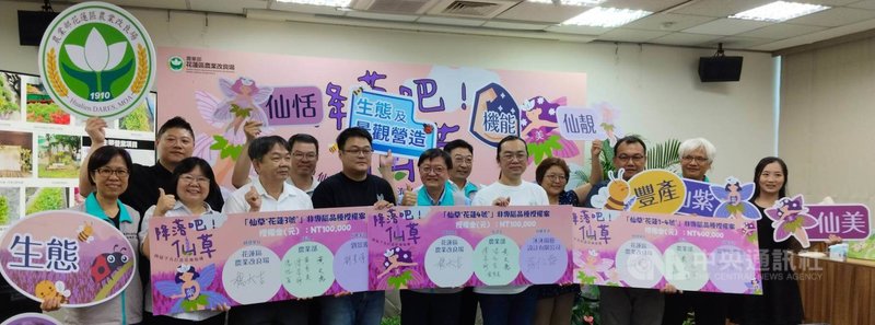 花蓮農改場28日在農業部舉行記者會,介紹新育成的4種仙草品種仙恬、仙觀、仙紫與仙美。花蓮農改場場長楊大吉(前中)說,4個仙草新品種具備「可看、可吃、可保健、可營造生態」的多重價值,不僅為傳統仙草產業注入新活力,也為休閒農業景觀與養生保健開創新局。中央社記者汪淑芬攝 114年8月28日