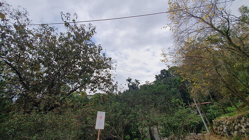 法務部行政執行署彰化分署9月2日將舉行拍賣會,其中南投縣草屯鎮有未臨路的1025坪農地,二拍底價新台幣600萬元,平均每坪不到6000元。(法務部行政執行署彰化分署提供)中央社記者鄭維真傳真 114年8月29日