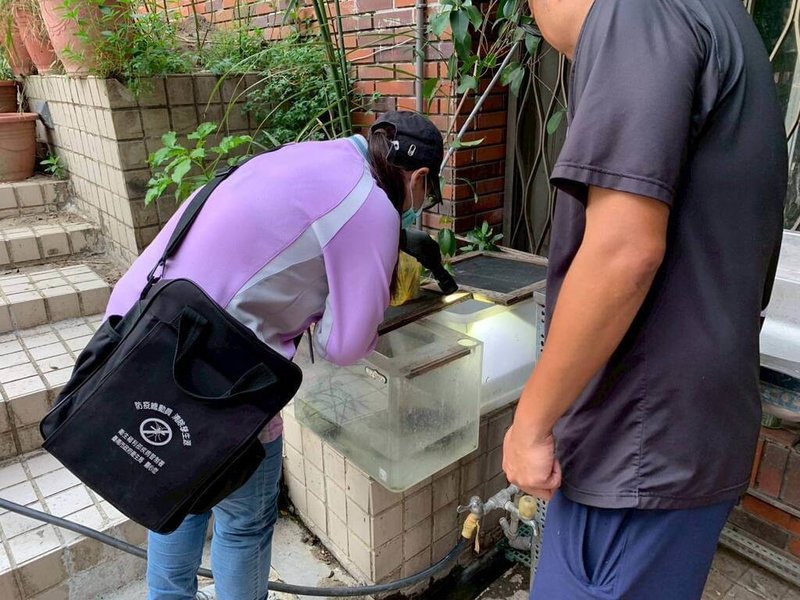 台南市出現第10例登革熱境外移入病例,病患是首次來台印尼籍學生,市府衛生局已動員防治、環境整理孳清及調查。(台南市政府提供)中央社記者張榮祥台南傳真 114年9月2日
