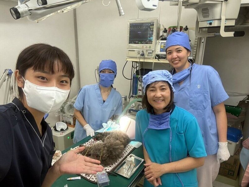 嘉義大學獸醫系學生林婕宜(左)暑假赴日本神奈川縣鎌倉市的動物醫院臨床實習,與院內人員開心合影。(嘉大提供)中央社記者黃國芳傳真 114年9月2日