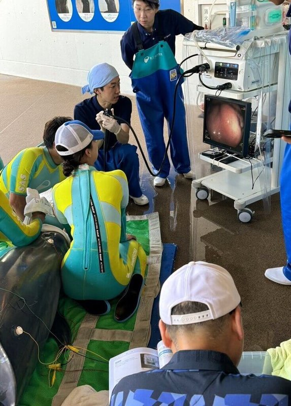 嘉義大學獸醫系學生暑假到日本的動物醫院臨床實習,還前往當地水族館觀摩海豚健檢與心臟超音波,獲得難得的跨領域經驗。(嘉義大學提供)中央社記者黃國芳傳真 114年9月2日
